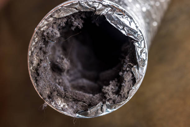 Best Air Duct Mold Removal  in Eagle Point, AL